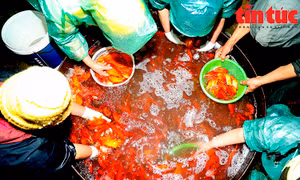 Chợ Yên Sở đỏ ối cá chép tiễn ông Công ông Táo về trời