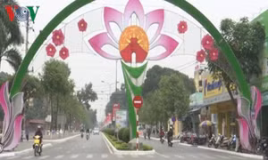 Hải Dương lần đầu tiên tổ chức lễ hội đường phố Carnival chào năm mới 2019