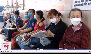 Triển khai thi hành Luật Khám bệnh, chữa bệnh