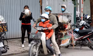 Chợ Quang (Hà Nội) đóng cửa do người bán gà mắc COVID-19, tiểu thương vẫn chủ quan