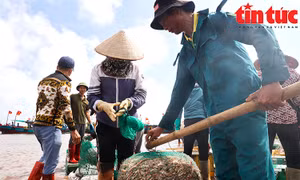 Nam Định: Tấp nập chợ cá Giao Hải