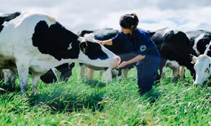 Vinamilk có hệ thống trang trại đạt chuẩn Global GAP lớn nhất châu Á