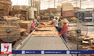 Doanh nghiệp thiếu vốn vì ngóng hoàn thuế VAT