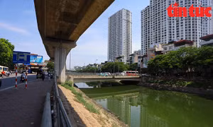 Nước sông Tô Lịch chuyển từ màu đen quánh sang xanh trong