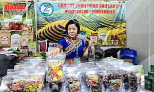 Hội chợ Mùa Xuân, cơ hội vàng cho doanh nghiệp tìm kiếm đối tác