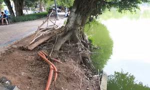 Nhiều đoạn bờ kè hồ Gươm sạt lở, lộ cả cáp ngầm