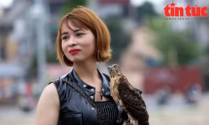 Mãn nhãn trình diễn bay lượn tại hội thi chim săn mồi
