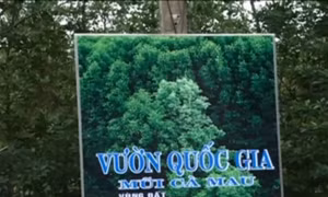 Nhiều dấu hiệu sai phạm tại Vườn Quốc gia Mũi Cà Mau