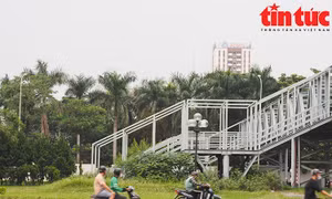 Cầu vượt bộ hành có đường lên xuống đâm thẳng vào ... bụi cây