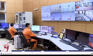 Phó Thủ tướng yêu cầu xử lý vi phạm về quản lý, cung ứng điện