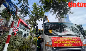 Hà Nội: Công nhân công ty cây xanh các địa phương hỗ trợ dọn cây xanh gãy đổ