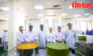 Cặp bánh Cốm - Phu thê kỷ lục Việt Nam