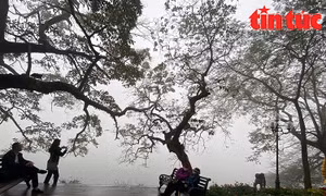 Thời tiết ngày 3/2: Bắc Bộ và Bắc Trung Bộ sương mù, nồm ẩm