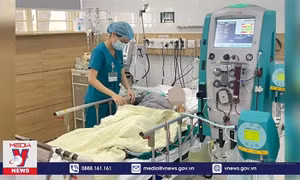 Ba bệnh nhân tử vong do ăn phải nấm độc