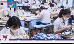 Xuất khẩu hàng hóa sụt giảm