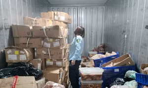 Phát hiện kho hàng đông lạnh chứa gần 1 tấn thực phẩm 'bẩn'
