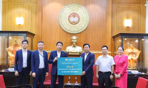 Ban Vận động cứu trợ Trung ương hỗ trợ 30 tỷ đồng cho các tỉnh bị ảnh hưởng bởi bão số 13