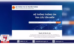 Khắc phục tra cứu tên miền miễn phí tránh bị lừa đảo