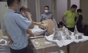 Thu giữ 55 khúc sừng tê giác tại sân bay Nội Bài