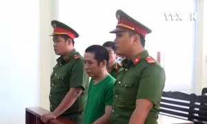 Tuyên án vụ lái xe sử dụng giấy phép lái xe giả, gây tai nạn nghiêm trọng
