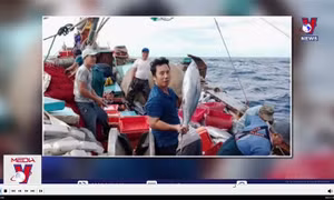 Ngư dân trúng luồng cá hơn 10 tỷ đồng