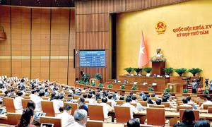 10 sự kiện văn hóa, thể thao và du lịch tiêu biểu năm 2024