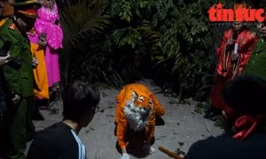 Đổ xô xem hội trai tráng làng La Cả đánh hổ
