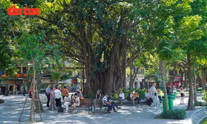 Nắng nóng cao điểm - nguy cơ về sức khỏe và những lưu ý với mỗi người dân