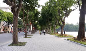 Hồ Gươm 'diện áo mới' chào đón 1010 năm Thăng Long- Hà Nội