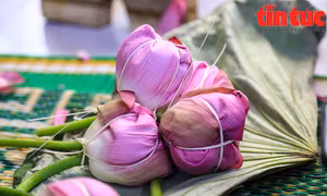 Nghệ thuật ướp trà sen - Nét văn hóa thanh tao của người Hà Nội