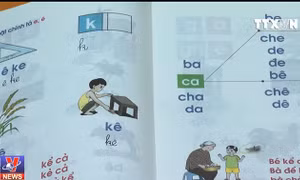 Không triển khai đại trà sách công nghệ giáo dục