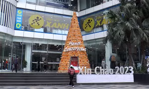 Cây thông Noel làm từ 8.000 bắp ngô ở Hà Nội