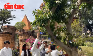 Trồng cây hạnh phúc tại Tháp Bà Ponagar lan tỏa giá trị Vietnam Happy Fest 2025