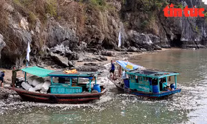 Thu dọn hàng trăm khối rác dạt vào Vịnh Hạ Long sau bão số 3