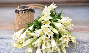 Hai ngả tháng Tư