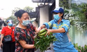 Sạp rau phát miễn phí 'ấm áp tình người' giữa đại dịch COVID-19 của hai nữ công nhân môi trường Hà Nội