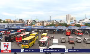 Hà Nội: Tước giấy phép lái xe ô tô gần 800 trường hợp vi phạm