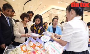 Khai mạc Hội chợ xúc tiến thương mại nông nghiệp, sản phẩm OCOP Hà Nội 2023