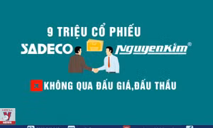  Vụ án tại IPC và SADECO gây hậu quả đặc biệt nghiêm trọng