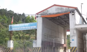 Xử phạt một trại lợn 320 triệu đồng vì gây ô nhiễm môi trường