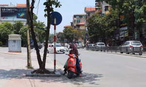 Thời tiết ngày 9/5:Tây Bắc Bộ và Trung Bộ nắng nóng gay gắt, chiều tối có mưa dông