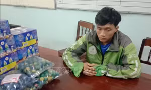Đốt pháo hoa nổ có thể bị phạt tù