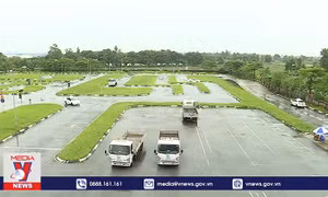 Nhiều sai phạm trong đào tạo, sát hạch cấp giấy phép lái xe