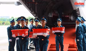 Hà Nội: Tiếp nhận hơn 7.000 mẫu sinh phẩm hài cốt liệt sĩ phục vụ giám định ADN
