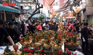 Chợ Hàng Bè nhộn nhịp sáng 29 tháng Chạp, thu hút đông người mua sắm Tết