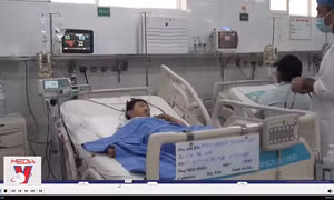 Hai mẹ con nhập viện nghi do ngộ độc nấm mọc trên xác nhộng ve sầu