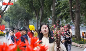 Phố Hà Nội thanh bình những ngày giáp Tết