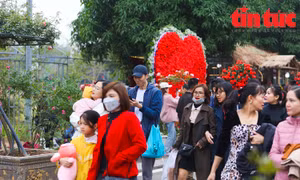 Khai mạc Lễ hội hoa và Festival nông sản, sản phẩm OCOP tại huyện Mê Linh