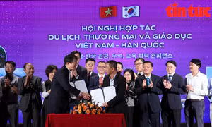 Thúc đẩy hợp tác du lịch, thương mại và giáo dục Việt - Hàn