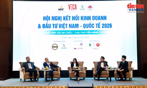 Mở rộng kết nối kinh doanh và đầu tư Việt Nam với thị trường quốc tế